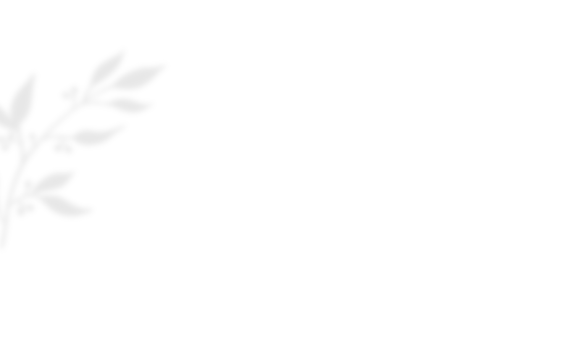 shadow_leaves_03 https://staging.paradisulverdeevents.ro/wp-content/uploads/2020/10/shadow_leaves_03.png