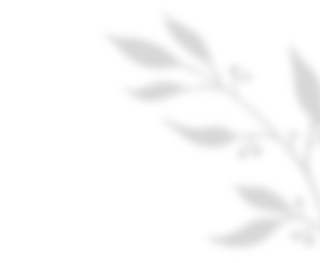 shadow_leaves_01 https://staging.paradisulverdeevents.ro/wp-content/uploads/2020/11/shadow_leaves_01.png